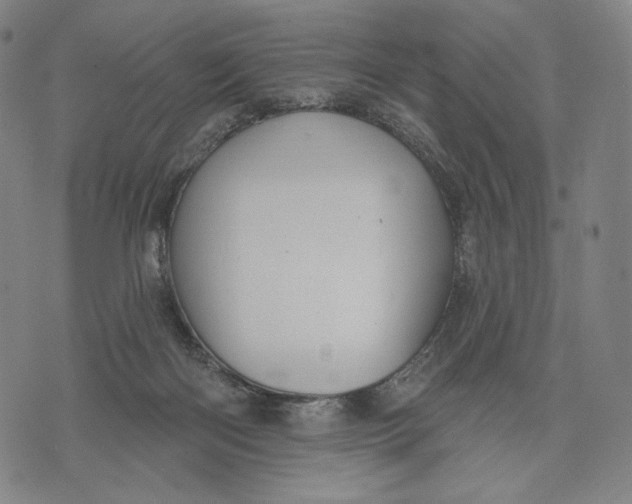 X0000071800122200607211656