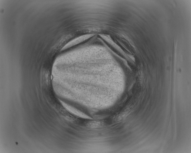 X0000071800123200607211656