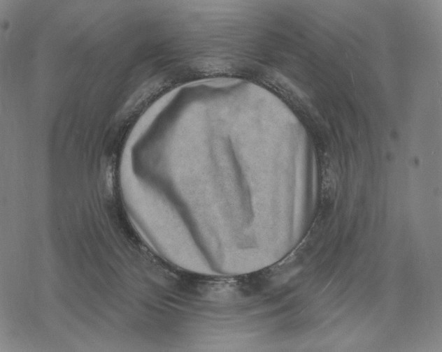 X0000071800124200607211656