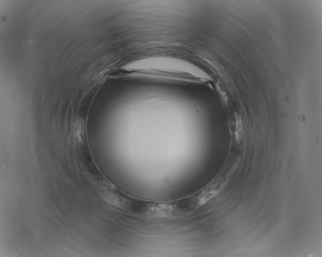 X0000071800125200607211656