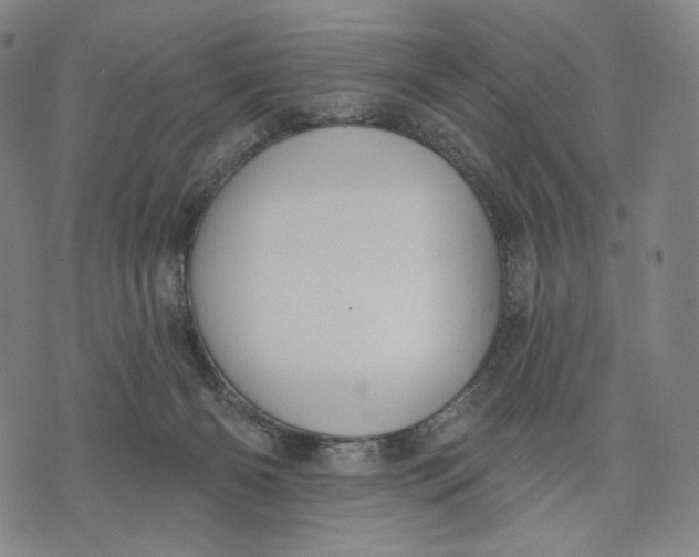 X0000071800126200607211656