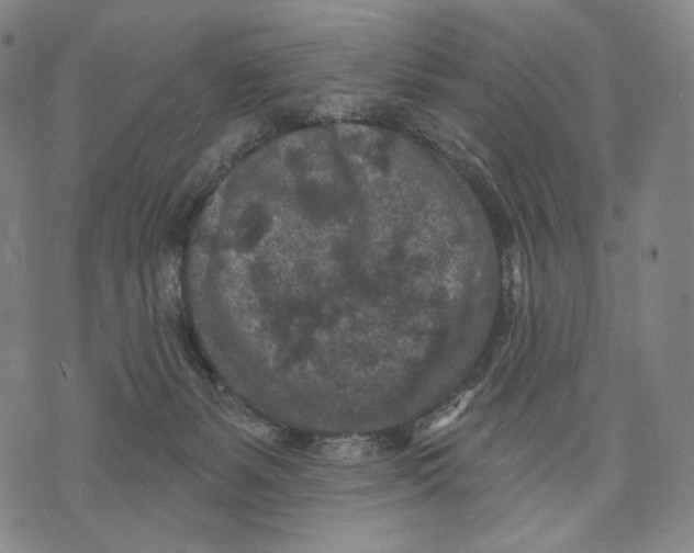 X0000071800127200607211656