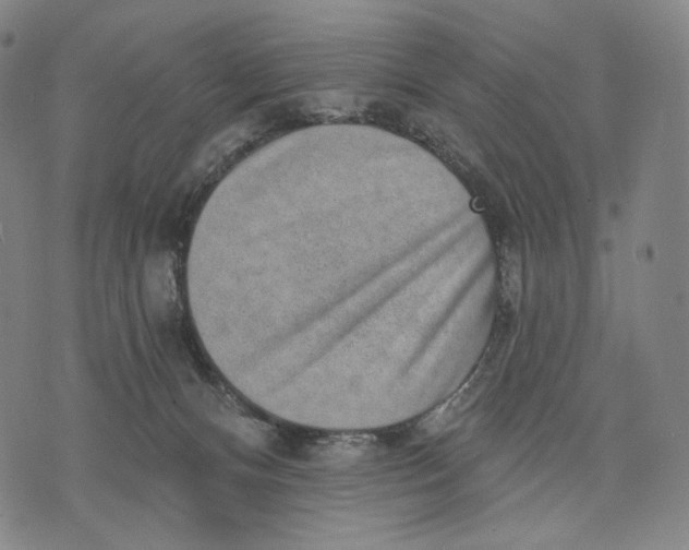 X0000071800128200607211656