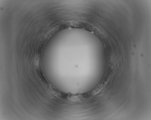 X0000071800129200607211656