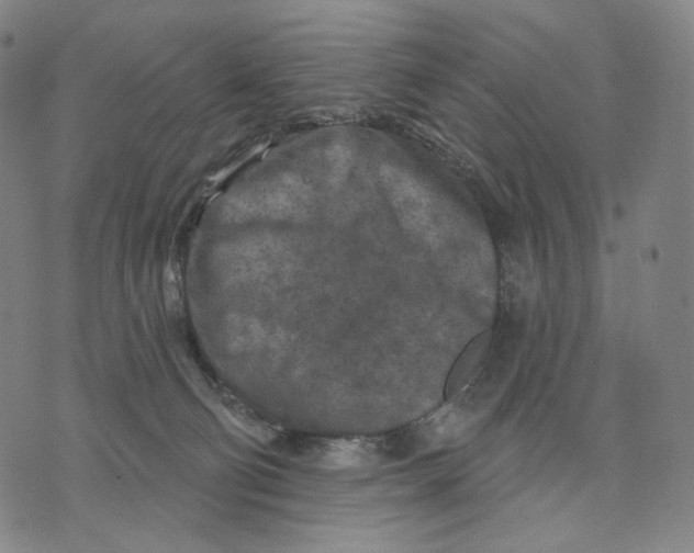 X0000071800130200607211656