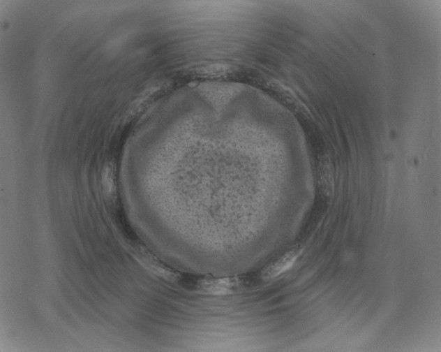 X0000071800131200607211656