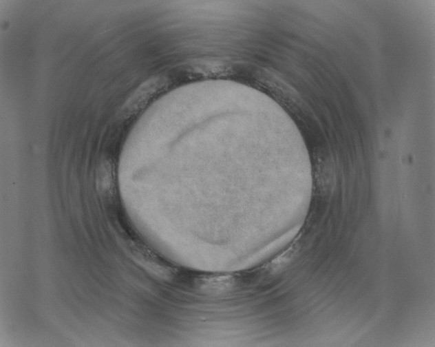 X0000071800132200607211656