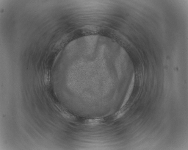 X0000071800134200607211656