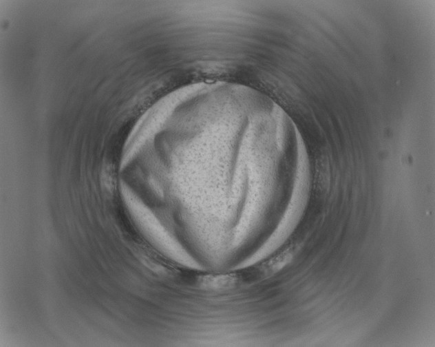 X0000071800135200607211656