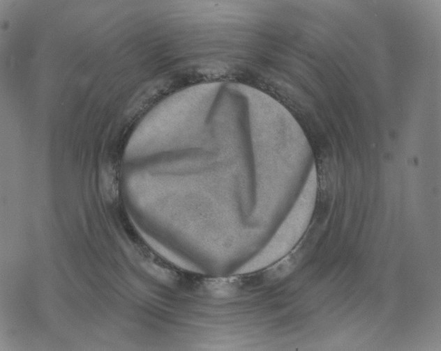 X0000071800136200607211656