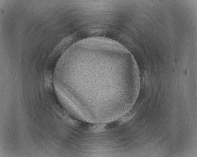 X0000071800138200607211656