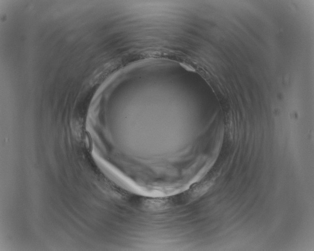 X0000071800139200607211656