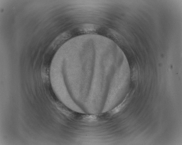 X0000071800140200607211656