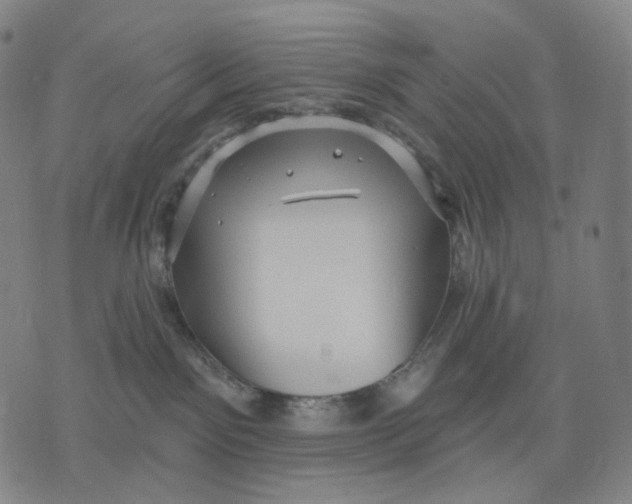 X0000071800141200607211656