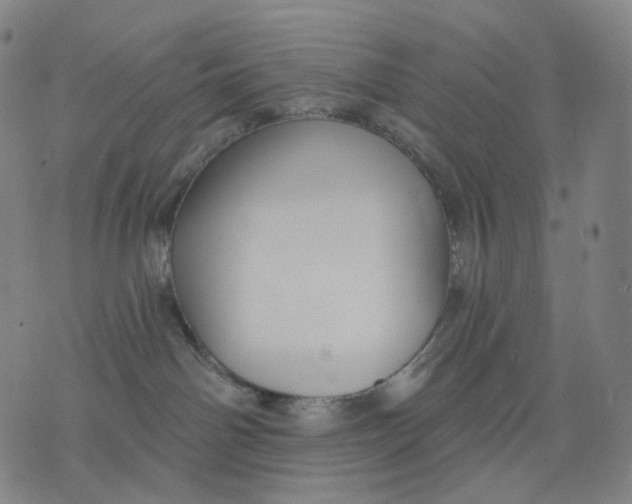 X0000071800142200607211656