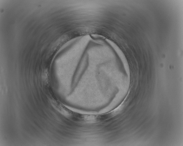 X0000071800144200607211656