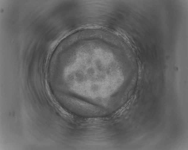 X0000071800145200607211655