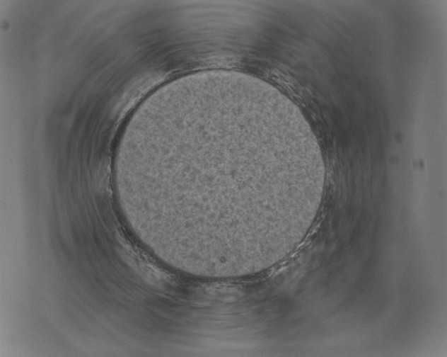 X0000071800146200607211655