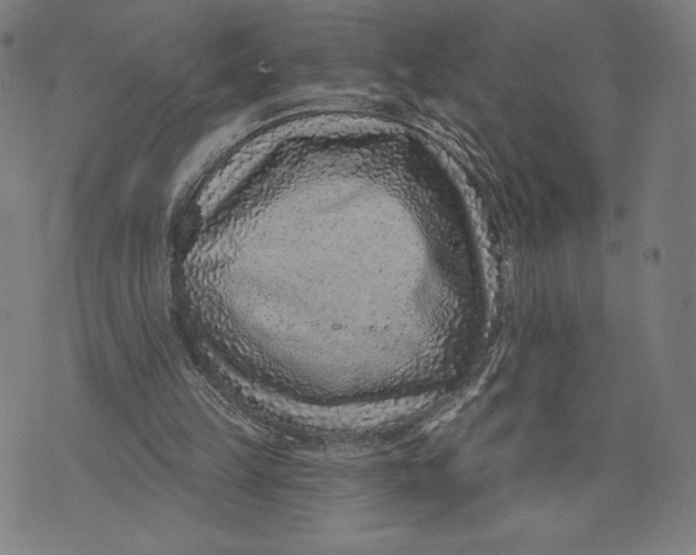 X0000071800149200607211655