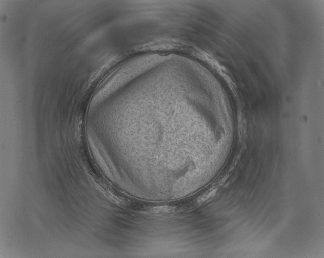 X0000071800153200607211655