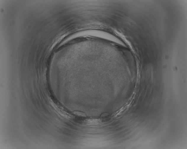 X0000071800154200607211655