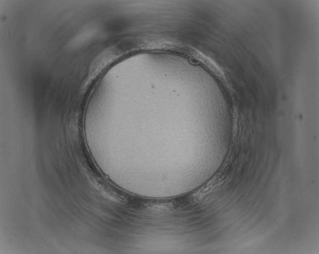 X0000071800155200607211655