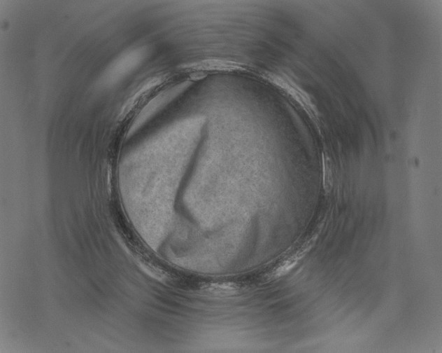 X0000071800157200607211655