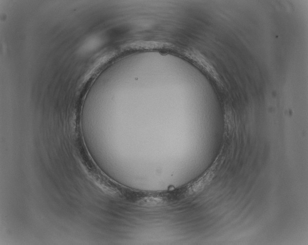 X0000071800159200607211655