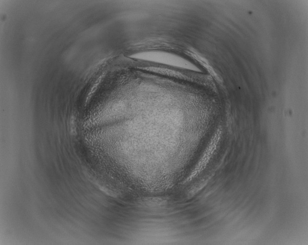 X0000071800161200607211656