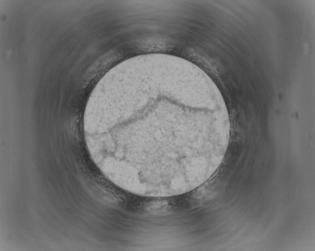 X0000071800162200607211656