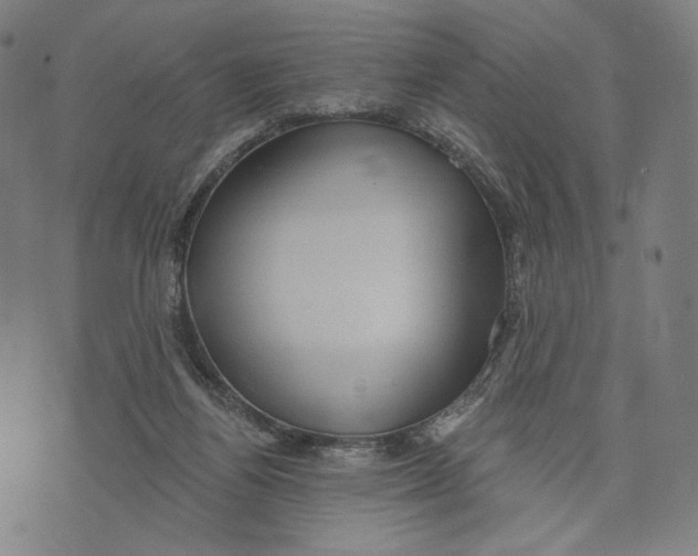 X0000071800164200607211656