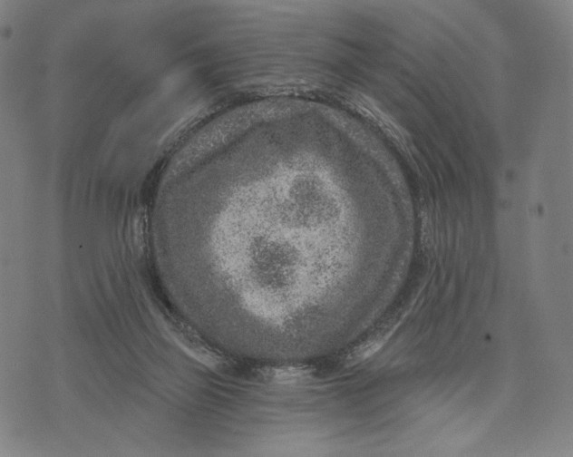 X0000071800165200607211656