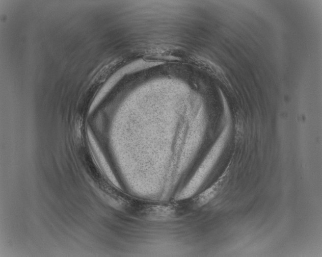 X0000071800166200607211656