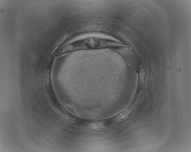 X0000071800168200607211656