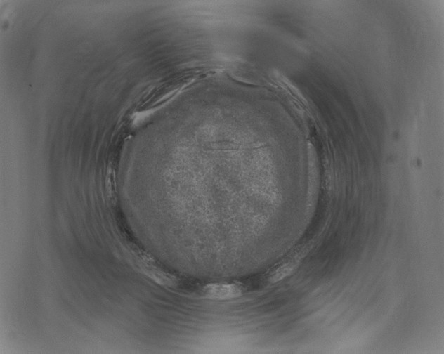 X0000071800169200607211656