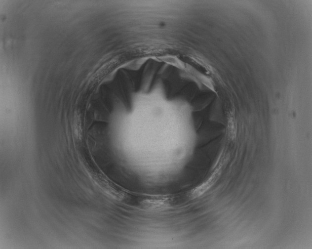 X0000071800170200607211656