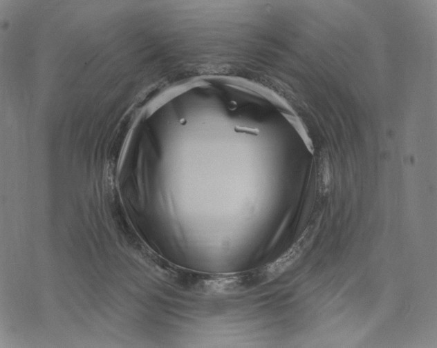 X0000071800172200607211656