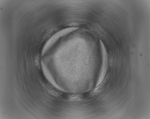 X0000071800175200607211656