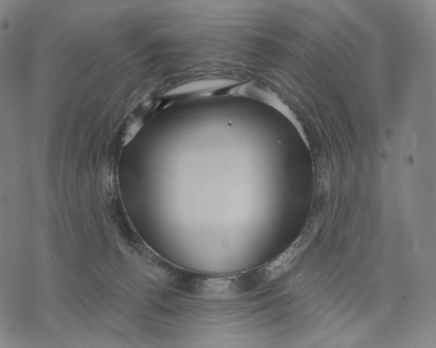 X0000071800176200607211656