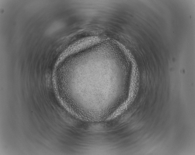 X0000071800177200607211656