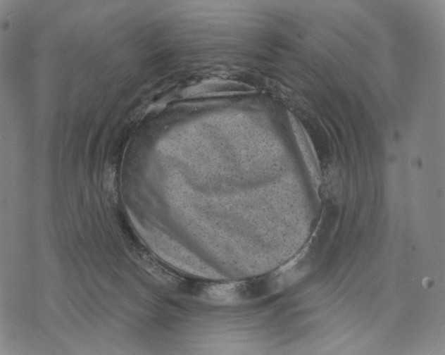 X0000071800178200607211656