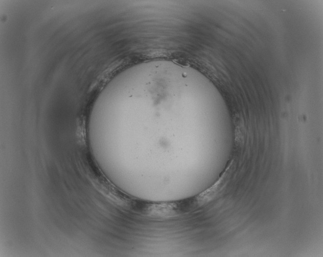 X0000071800179200607211656