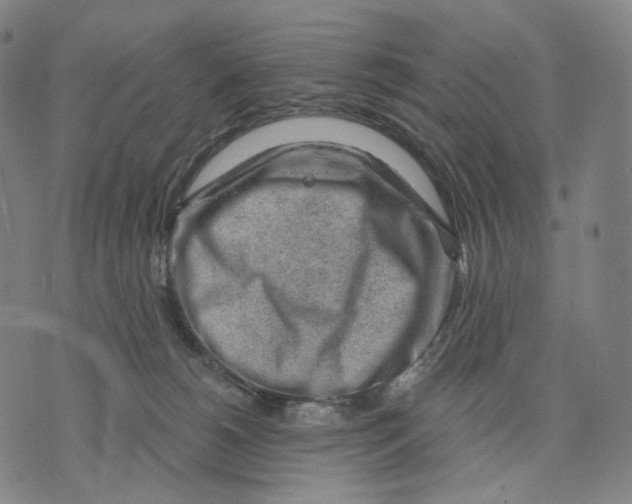 X0000071800180200607211656