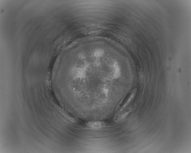 X0000071800181200607211656