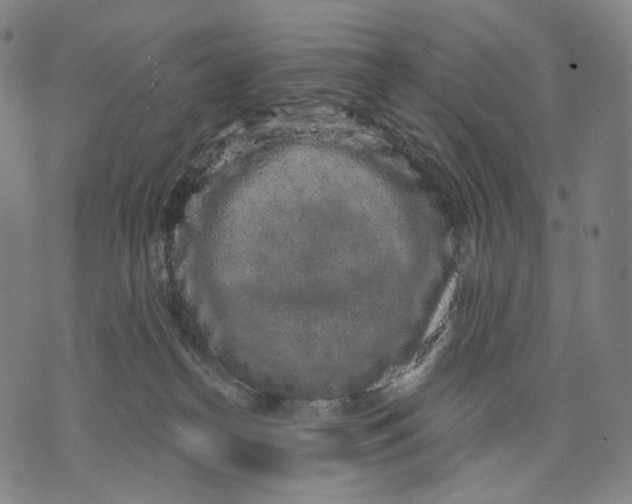 X0000071800182200607211656