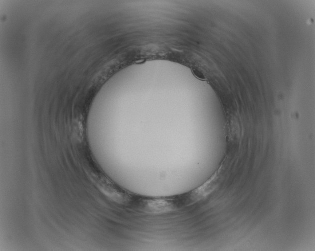 X0000071800183200607211656