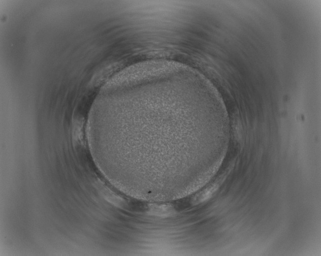 X0000071800185200607211656