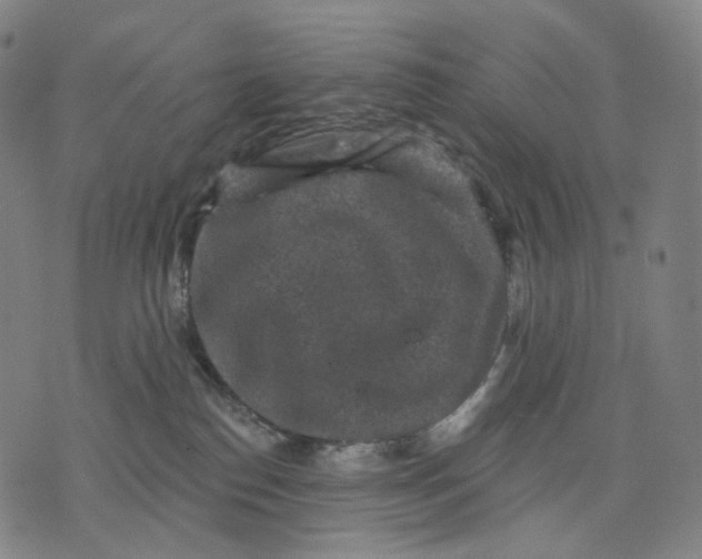 X0000071800186200607211656