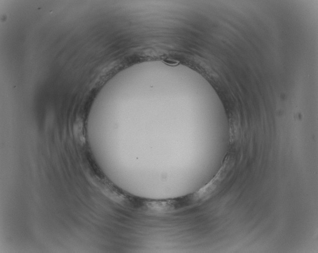 X0000071800187200607211656