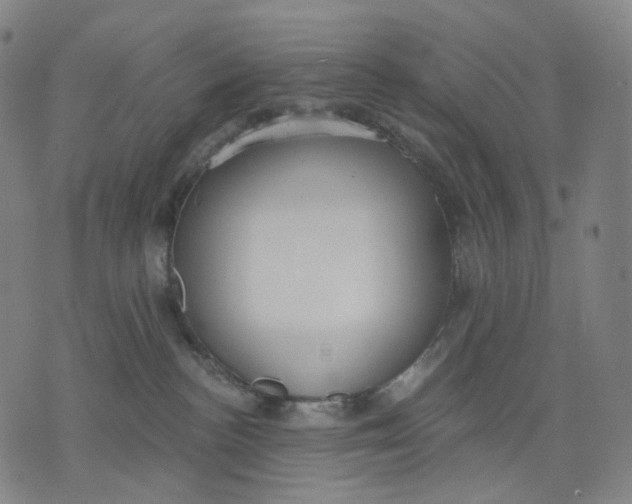 X0000071800188200607211656